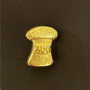 AOPi pin